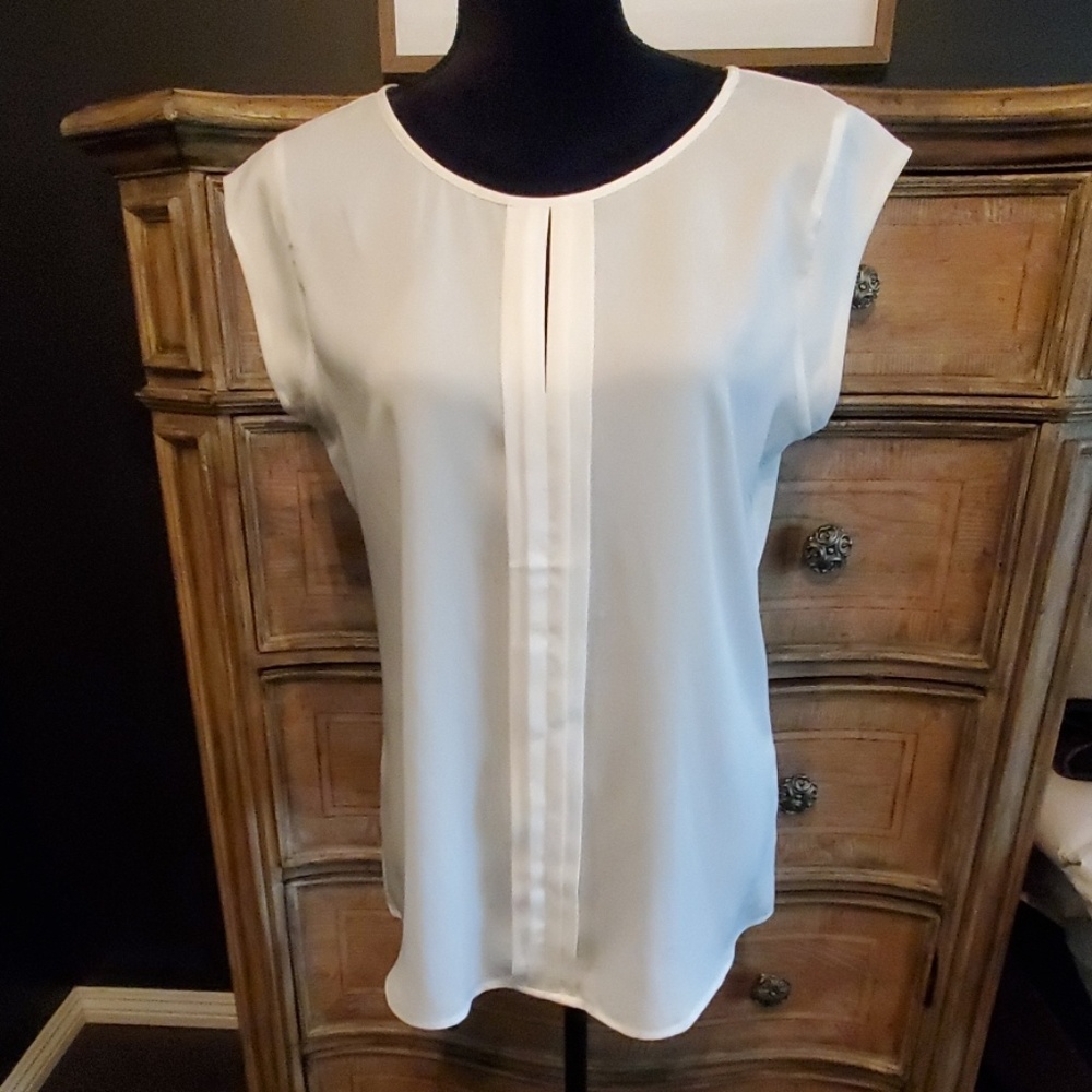 The Limited Blouse